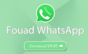 The Safety of Using Fouad WhatsApp